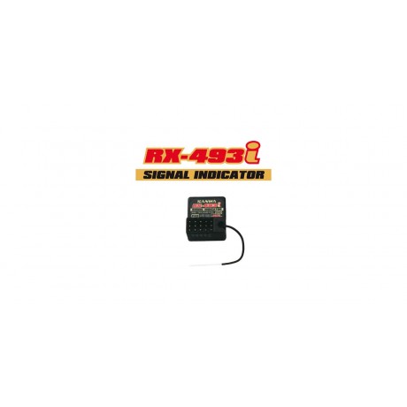 SANWA M17 with RX493i Receiver with TX Battery installed
