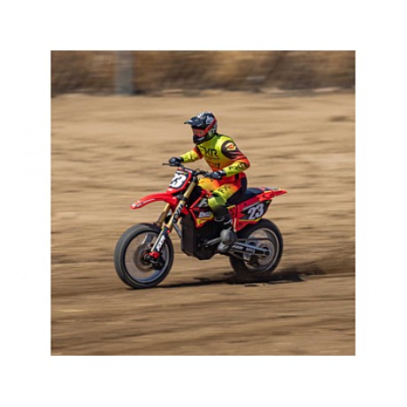 LOSI Promoto-MX 1/4 Motorcycle FXR RTR (Red)