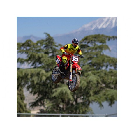 LOSI Promoto-MX 1/4 Motorcycle FXR RTR (Red)