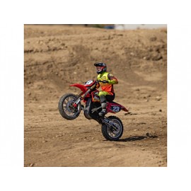 LOSI Promoto-MX 1/4 Motorcycle FXR RTR (Red) 