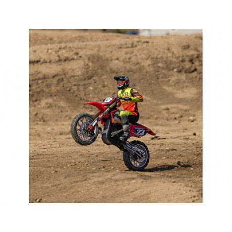LOSI Promoto-MX 1/4 Motorcycle FXR RTR (Red)