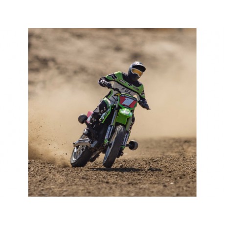 LOSI Promoto-MX 1/4 Motorcycle Pro Circuit RTR
