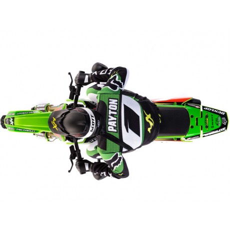 LOSI Promoto-MX 1/4 Motorcycle Pro Circuit RTR