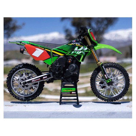 LOSI Promoto-MX 1/4 Motorcycle Pro Circuit RTR