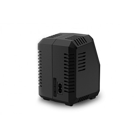 SKY RC T100 Dual Balance Charger