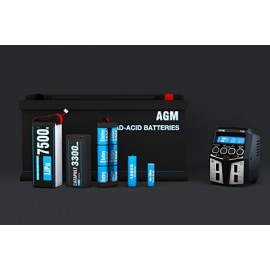 SKY RC T100 Dual Balance Charger 