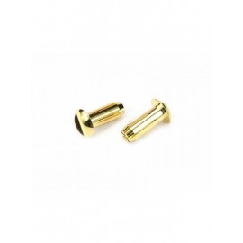 ARROWMAX Flat 5mm plug 24K (2pcs) 